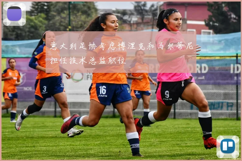 意大利足协考虑博涅克和马尔蒂尼担任技术总监职位